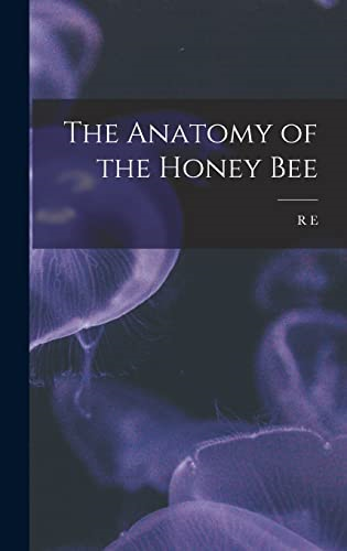 The Anatomy of the Honey Bee