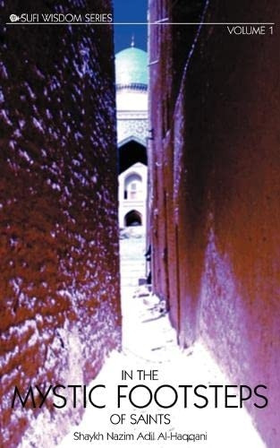 In the Mystic Footsteps of Saints: v.1: Vol 1 (Sufi Wisdom)