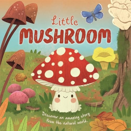 Little Mushroom (illustrated story about the life-cycle of a mushroom An)