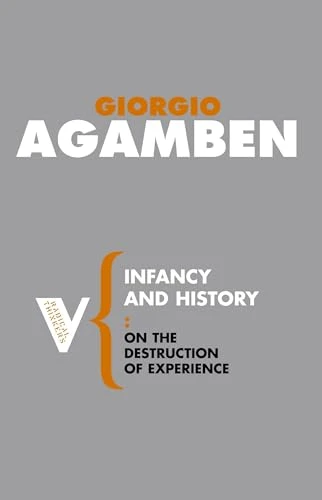 Infancy and History: On the Destruction of Experience (Radical Thinkers): On the Destruction of Experience (Radical Thinkers)