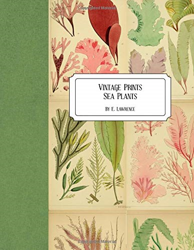 Vintage Prints: Sea Plants