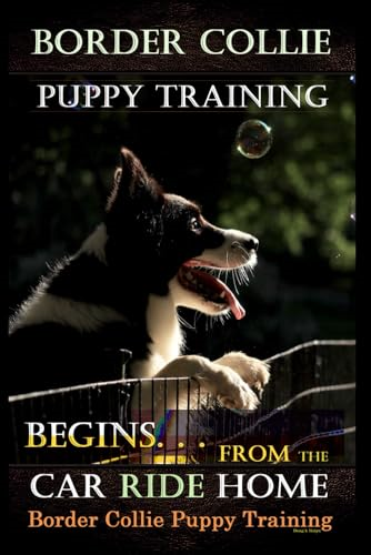 Border Collie Puppy Training Begins. . . From the Car Ride Home: Border Collie Puppy Training (Border Collie Puppy Training)