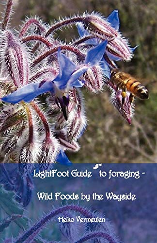 Lightfoot Guide to Foraging -   -  Wild Foods by the  - Wayside