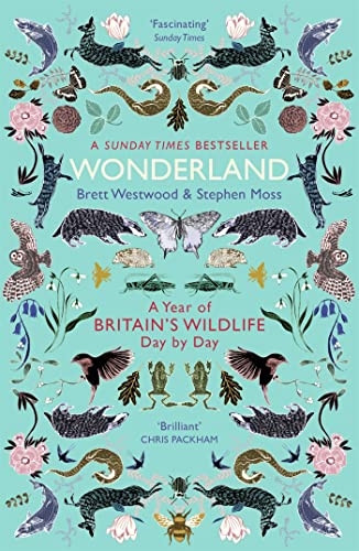 Wonderland
