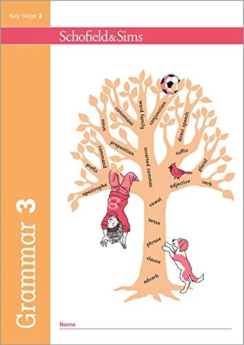 Grammar 3 - Grammar and Punctuation 3