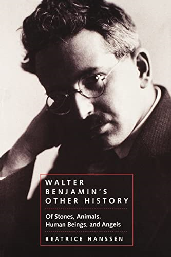 Walter Benjamin's Other History: Of Stones, Animals, Human Beings, and Angels