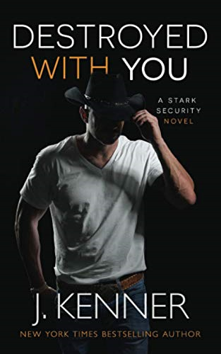 Destroyed With You (Stark  - Security)