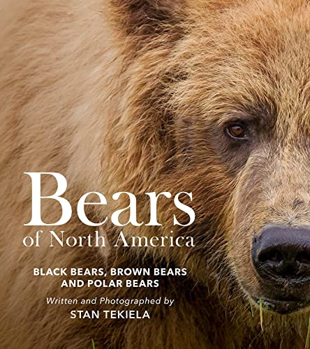 Bears of North America: Black Bears, Brown Bears, and Polar Bears (Favorite Wildlife)