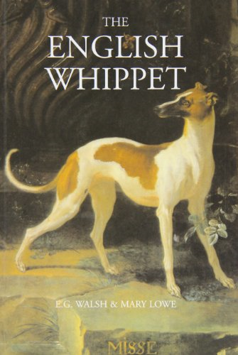 The English Whippet