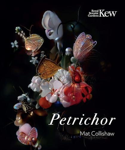 Petrichor