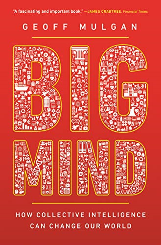 Big Mind: How Collective Intelligence Can Change Our World