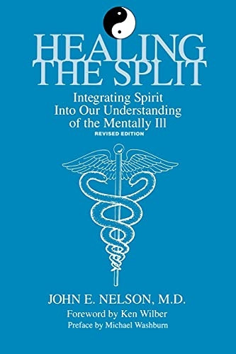 Healing the Split: Integrating Spirit into Our Understanding of the Mentally Ill (SUNY Series in the Philosophy of Psychology)
