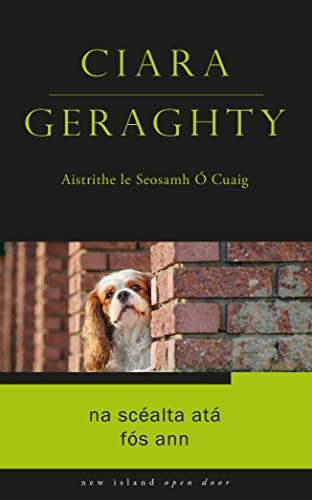 Na Scéalta Atà Fós Ann (Open Door as Gaeilge)