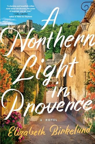 A Northern Light in Provence: A Novel