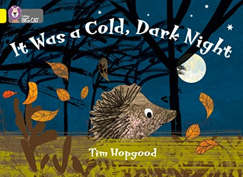 It Was a Cold Dark Night: Band 3/Yellow Phase 8, Bk 11 (Collins Big Cat)