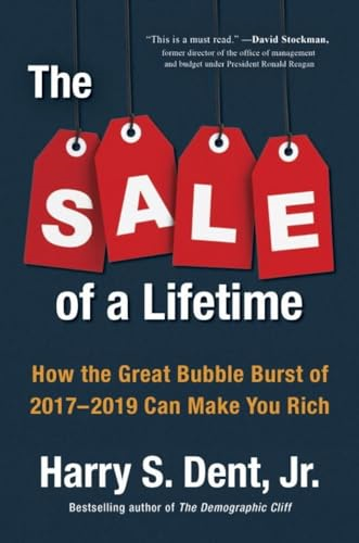 The Sale of A Lifetime: How the Great Bubble Burst of 2017-2019 Can Make You Rich