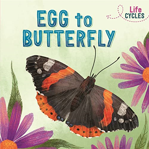 Life Cycles: Egg to Butterfly (Life Cycles)