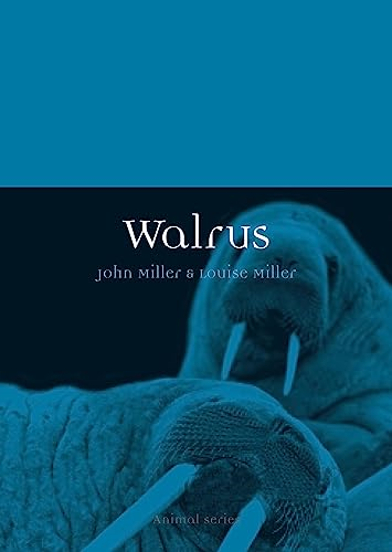 Walrus (Animal)