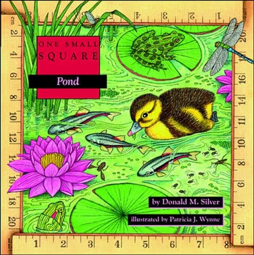 Pond (One Small Square)
