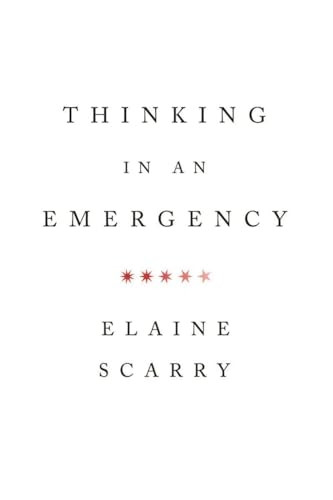 Thinking in an Emergency (Amnesty International Global Ethics Series)
