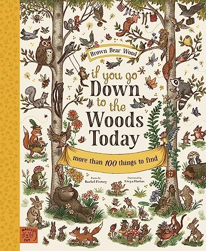 If You Go Down to the Woods Today: More than 100 things to find (Brown Bear Wood)