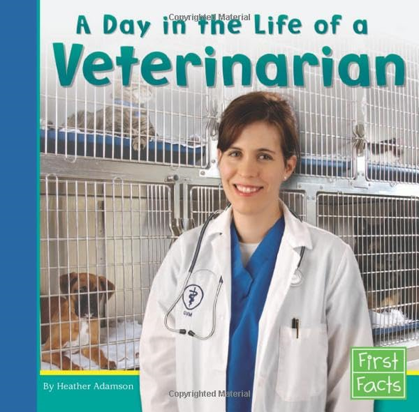 A Day in the Life of a Veterinarian (First Facts: Community Helpers at Work)