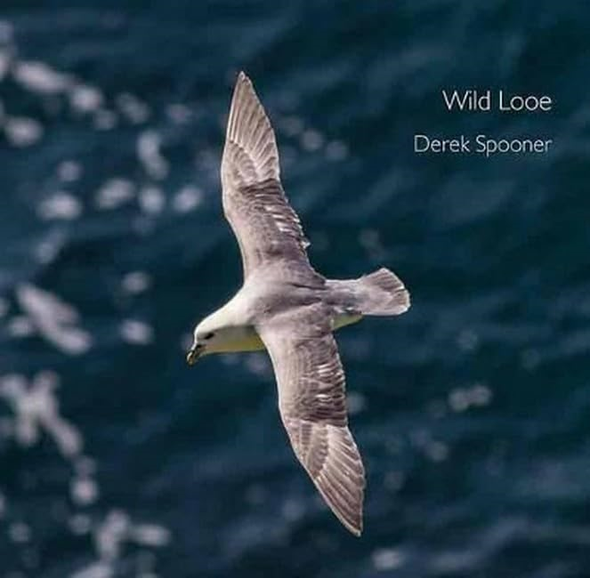 Wild Looe (Pocket Cornwall)