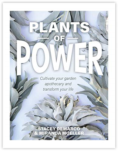 Plants of Power: Cultivate  - your garden apothecary and  - transform your life