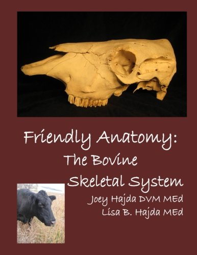 Friendly Anatomy: Bovine Skeletal System