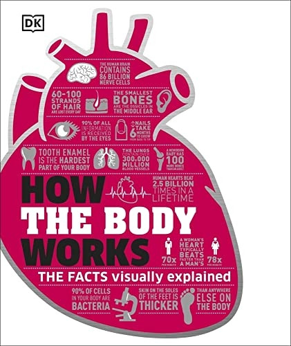 How the Body Works (Dk Knowledge)