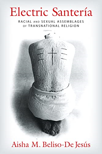 Electric Santeria: Racial and Sexual Assemblages of Transnational Religion (Gender, Theory, and Religion)