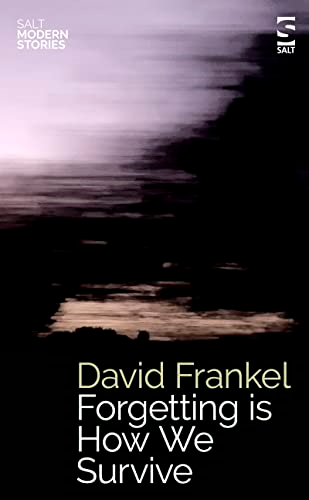 Forgetting is How We Survive (Salt Modern Stories)