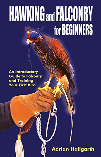 Hawking and Falconry for Begginers: An introductory guide to falconry and training your first bird