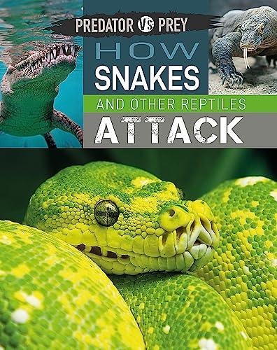Predator vs Prey: How Snakes and other Reptiles Attack (Predator vs Prey)