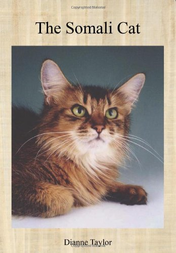 The Somali Cat