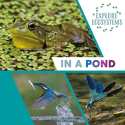 Explore Ecosystems: In a Pond (Explore Ecosystems)