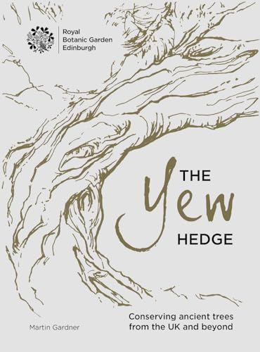 The Yew Hedge