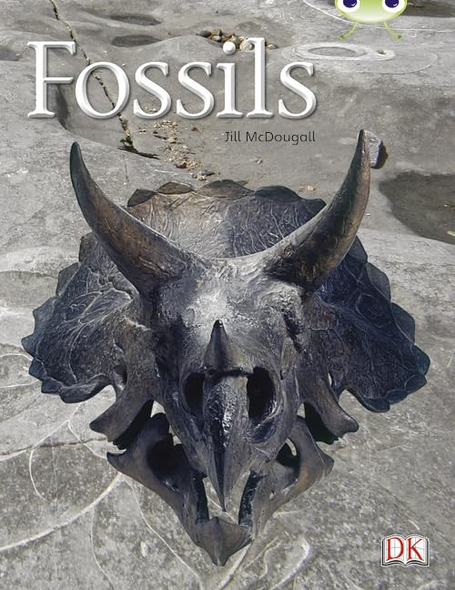 Fossils (Gold A) NF