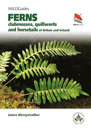 Britain's Ferns: A Field Guide to the Clubmosses, Quillworts, Horsetails and Ferns of Great Britain and Ireland (WILDGuides)
