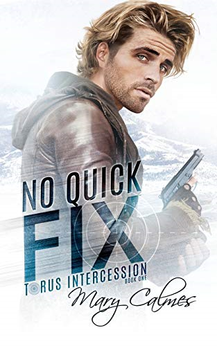 No Quick Fix: Torus Intercession Book One (Torus Intercession)