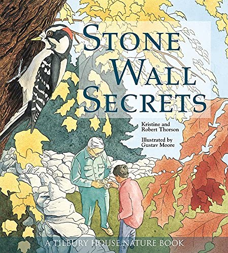 Stone Wall Secrets
