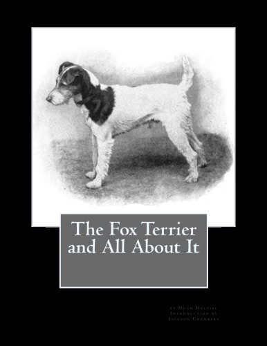 The Fox Terrier and All About It