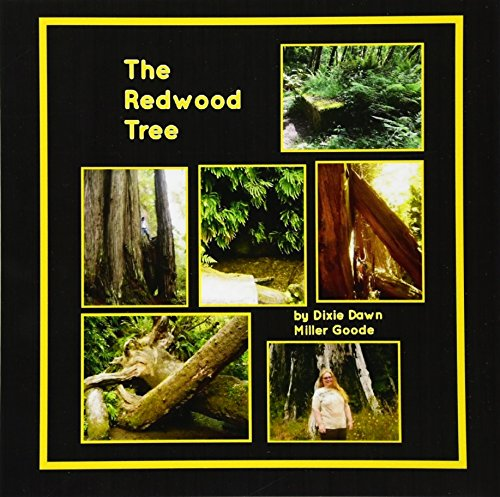 The Redwood Tree