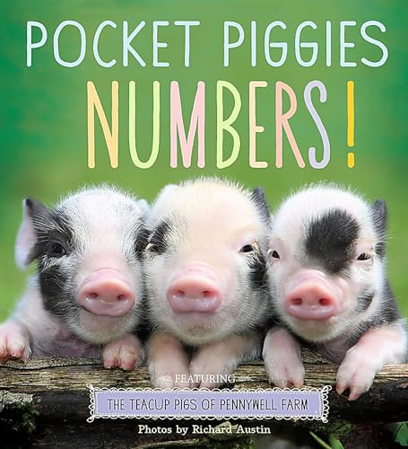 Pocket Piggies Numbers