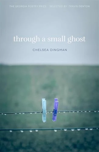 Through a Small Ghost: Poems (The Georgia Poetry Prize Series)