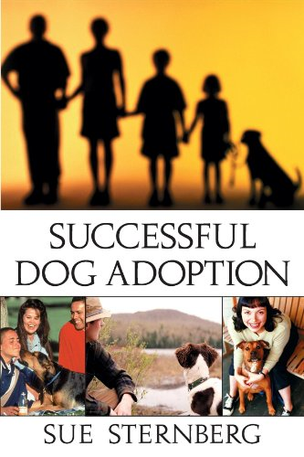 Successful Dog Adoption