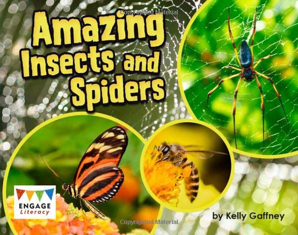 Amazing Insects and Spiders (Engage Literacy: Engage Literacy Turquoise - Extension A)