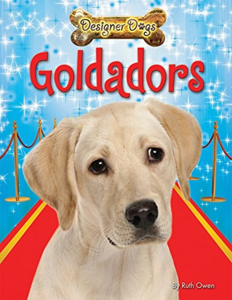 Goldadors (Designer Dogs)