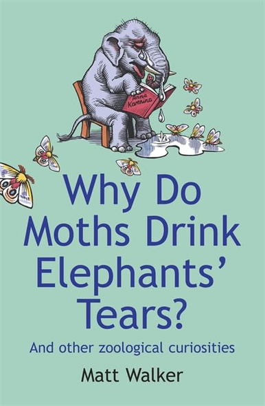 Why Do Moths Drink Elephants' Tears?: And Other Zoological Curiosities