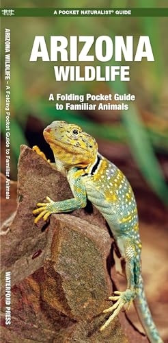 Arizona Wildlife: An Introduction to Familiar Species